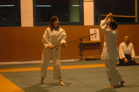 Aikido cruseilles