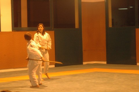 Aikido cruseilles