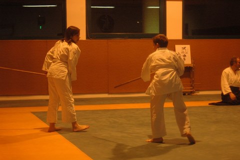 Aikido cruseilles