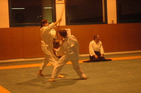 Aikido cruseilles