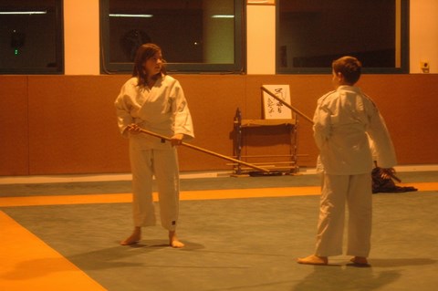 Aikido cruseilles