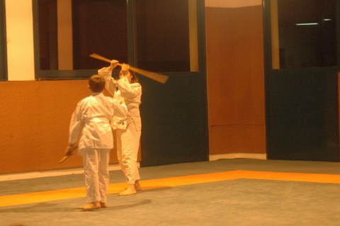 Aikido cruseilles