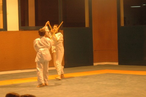 Aikido cruseilles