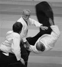 aikido annecy cruseilles